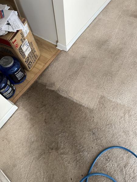 Aladdin's Carpet Cleaning