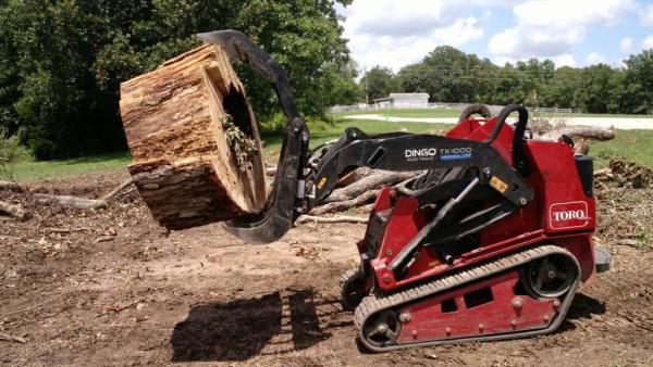 Tailored Tree Inc.