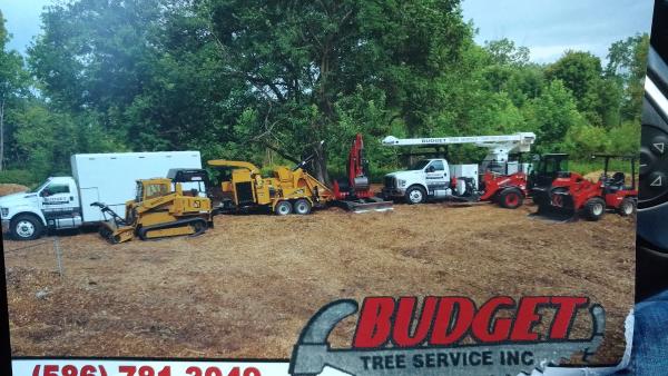 Budget Tree Service