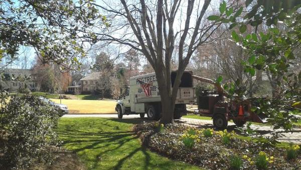 RPG Atlanta Tree Service 404-303-Tree