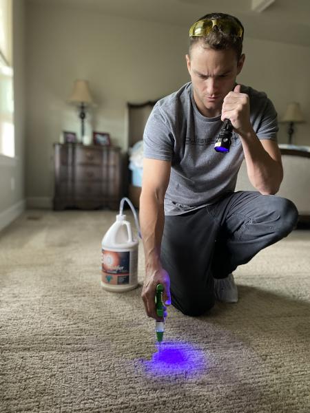 Bullseye Carpet Cleaning