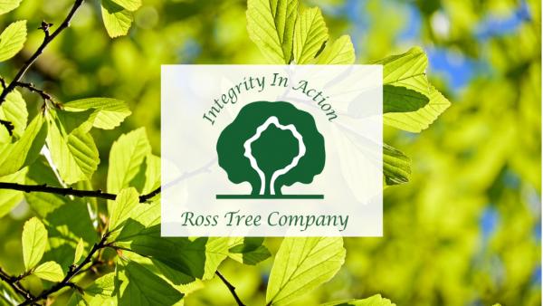 Ross Tree Company
