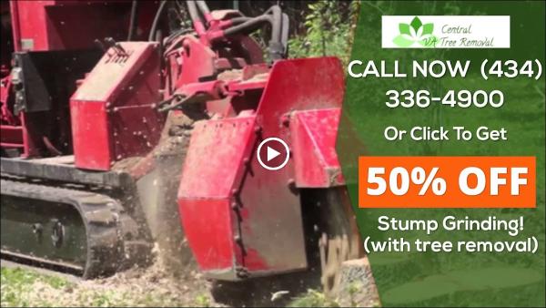 Central VA Tree Removal