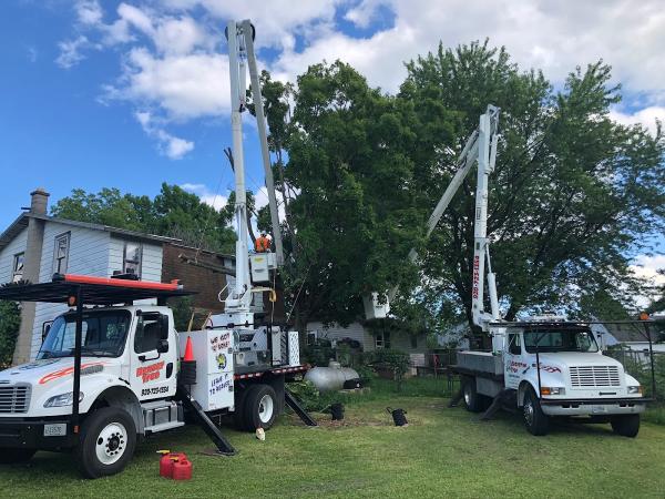 Beaver Tree LLC
