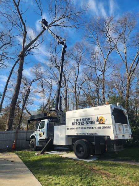 T Tree Service