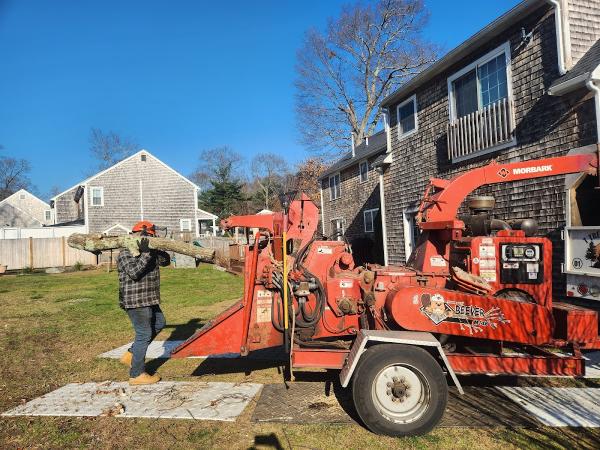 T Tree Service