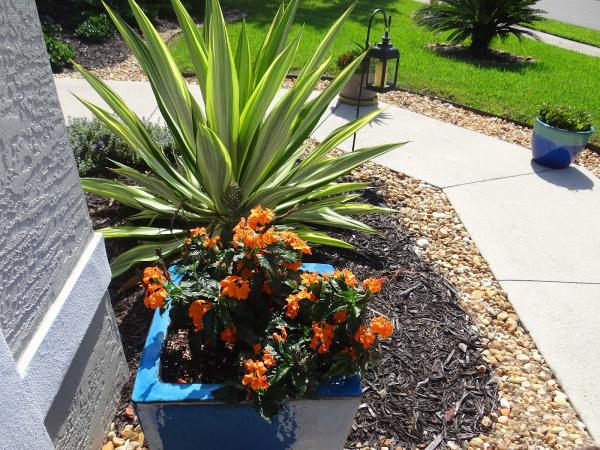 Exotic Gardens Landscaping & Beyond LLC