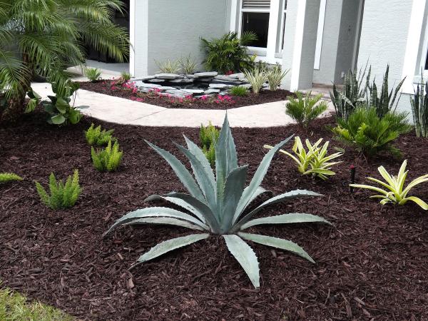 Exotic Gardens Landscaping & Beyond LLC