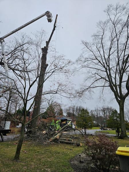 Blue Rock Tree Care