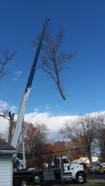 Blue Rock Tree Care