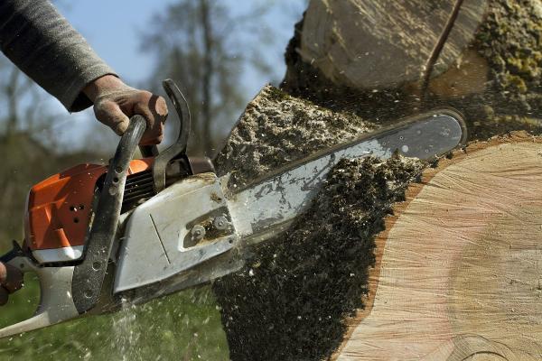 Hard Work Tree Services LLC