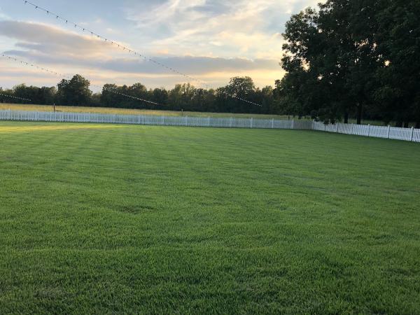 Greener Lawnscapes