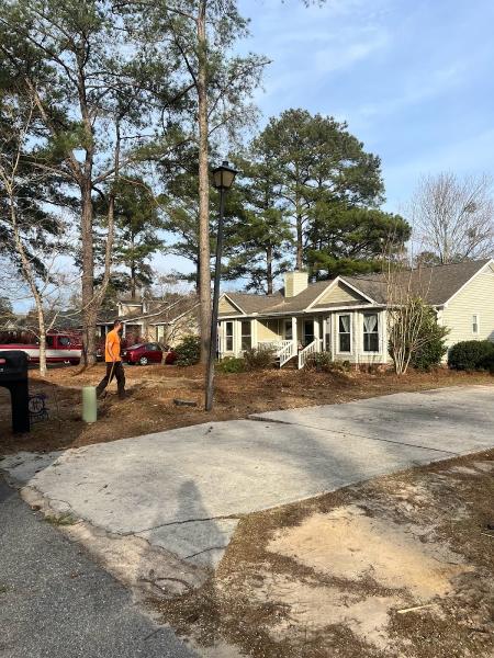 Shealey's Property Care LLC