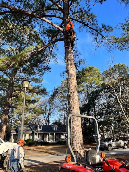 Shealey's Property Care LLC