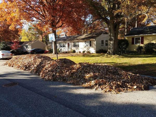 Triple A Lawn Care
