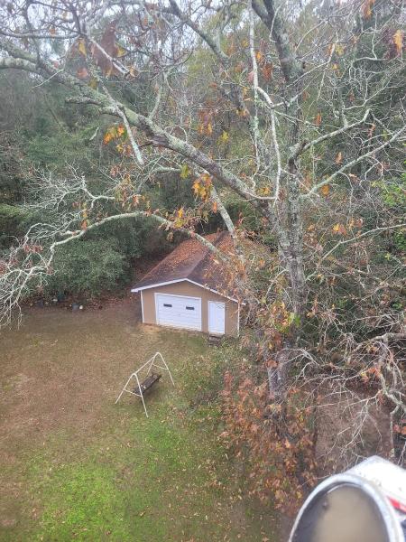 Ingram Tree Service