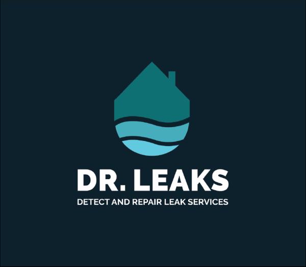 Detect & Repair Leak Services