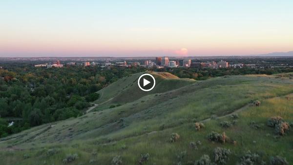Templeton Real Estate Group