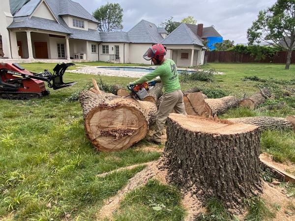 Leatherface Tree Service