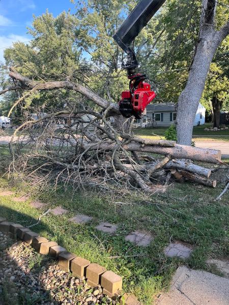 Central Tree Pros