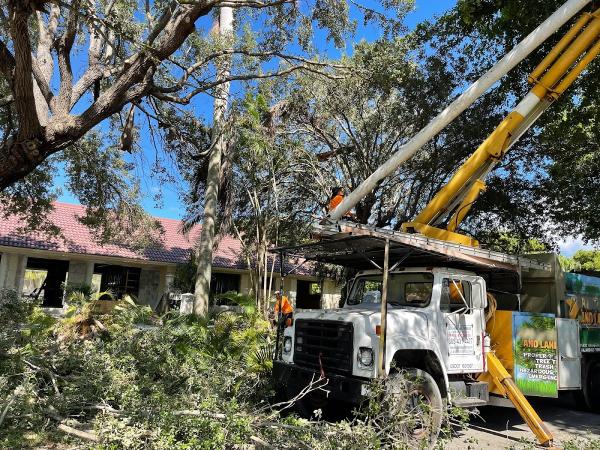 Sunshine Tree Trimming