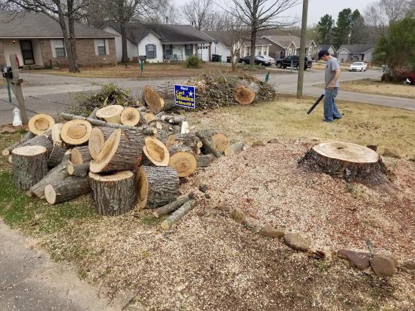 JLM Tree Servicing & Roofing