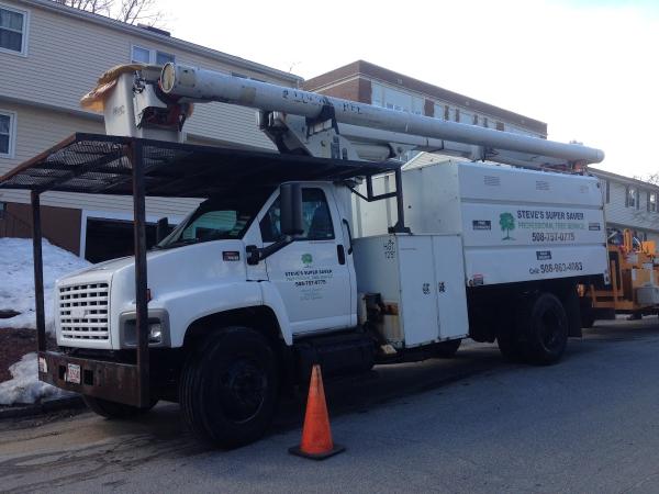 Steve's Super Saver Tree Services