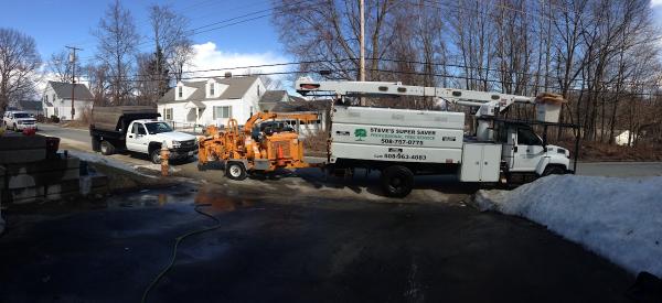 Steve's Super Saver Tree Services