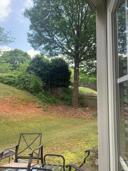 McAbee Tree Care