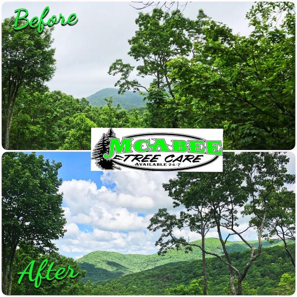 McAbee Tree Care