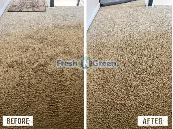 Fresh 'N' Green Carpet Cleaning