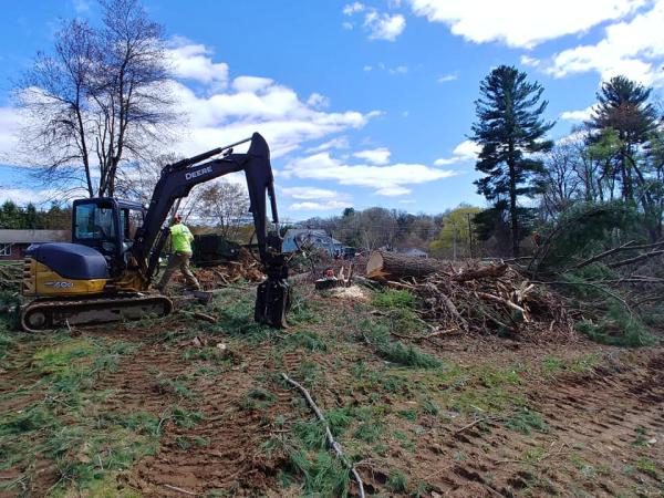 Greensite Tree & Land