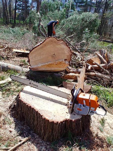 Greensite Tree & Land