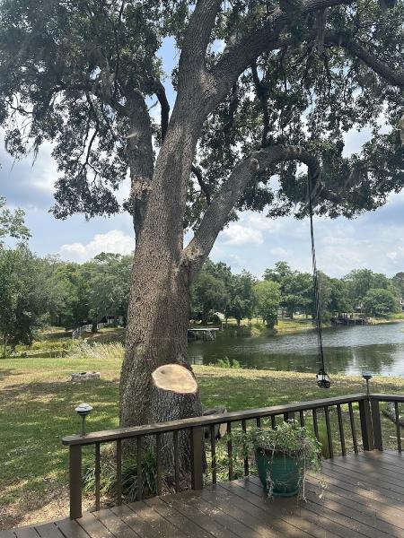 All Weather Tree and Landscaping Service