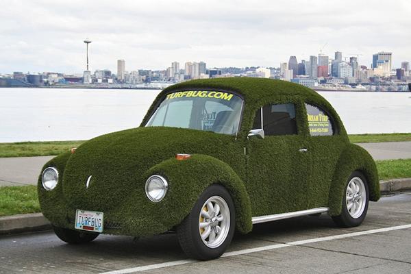 Dream Turf