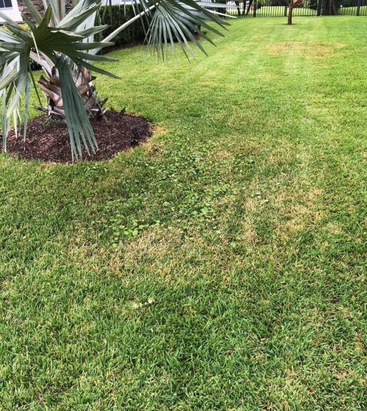 Palm Coast Pest Control