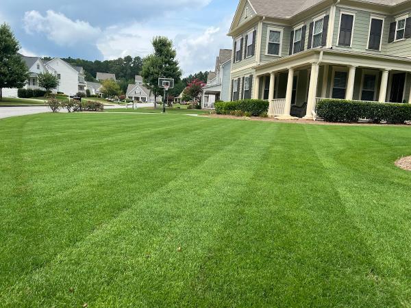 Wright Scapes LLC