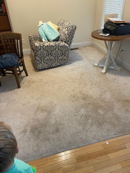 Cleaning Plus -Professional Carpet Cleaning Service