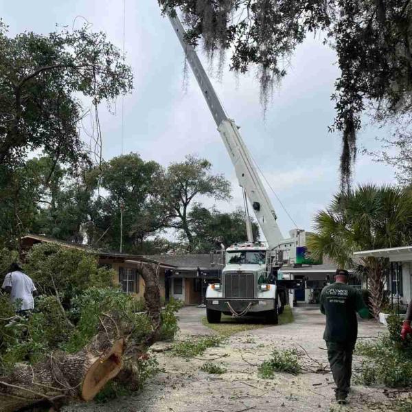Flynn's Tree Pros