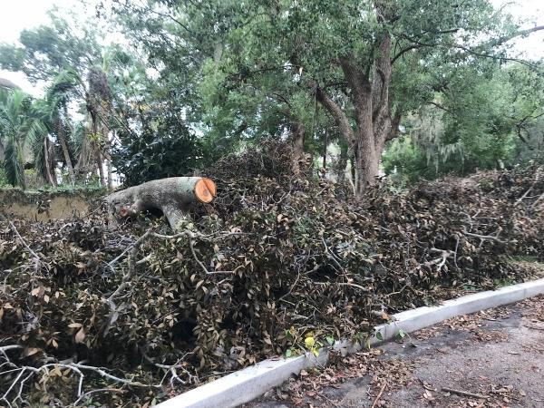 Flynn's Tree Pros