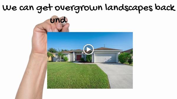 Made In the Shade Landscape Management 863-777-Lawn