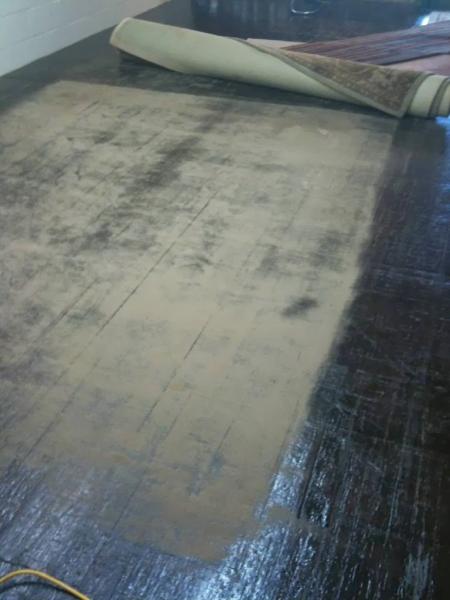 Radicans Rug Shop