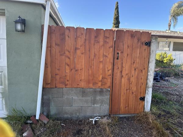 Doctor Fence