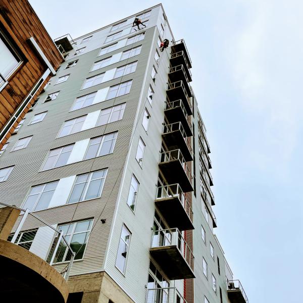 Green Window Cleaning Services