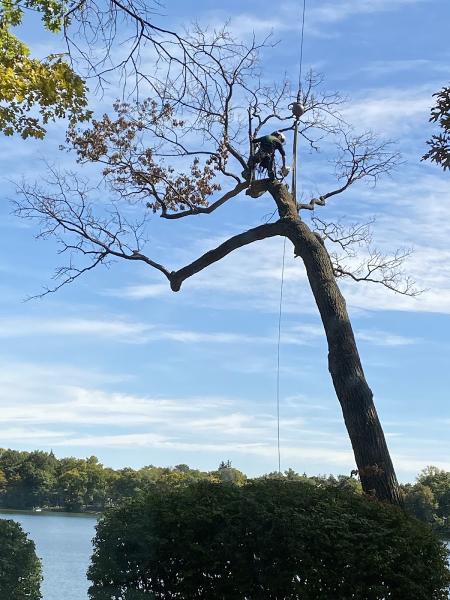 Arborist Prime LLC