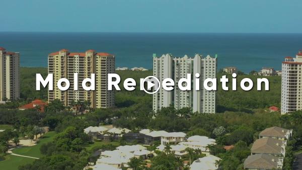 Aeret Restoration