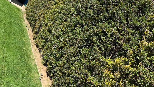 Santos Gardening and Tree Service