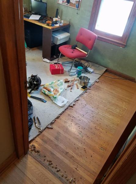 Earl's Floor Sanding & Install