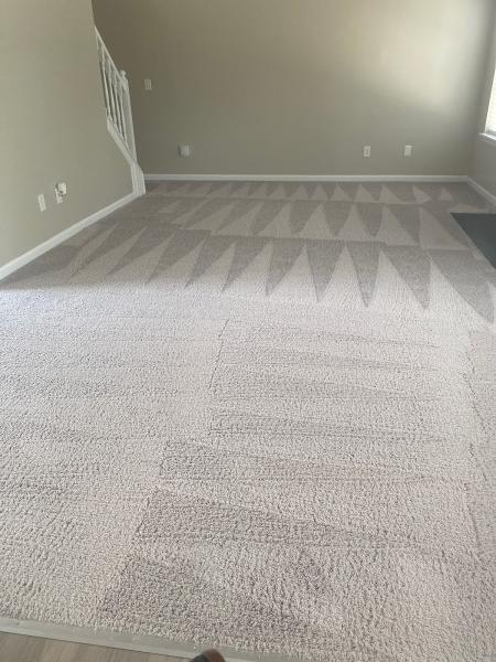 Carpet Cleaning @ Its Best!