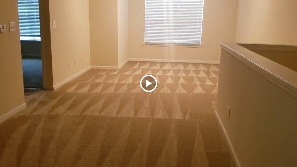 Carpet Cleaning @ Its Best!